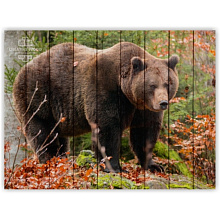 Панно с изображением медведя Creative Wood ZOO ZOO - 32 Медведь в лесу
